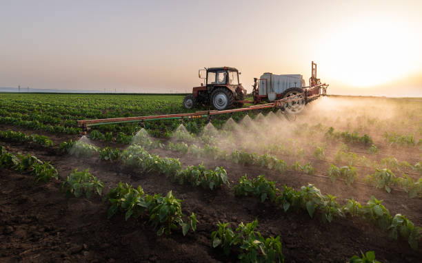 Pest Prevention Services in Buxton, NC