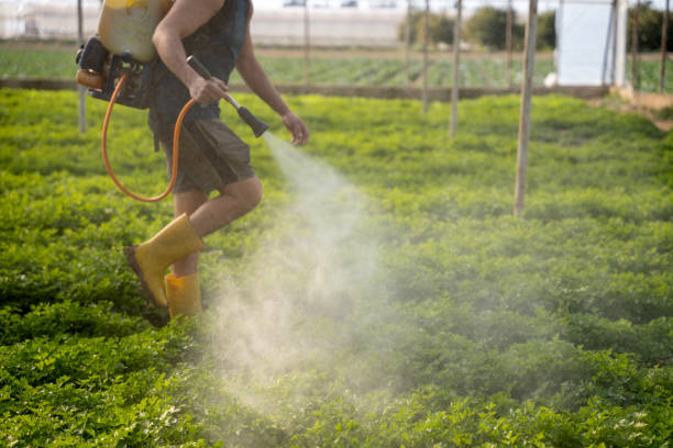 Best Best Pest Control Near Me  in Buxton, NC