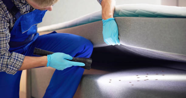 Wasp Removal Services in Buxton, NC