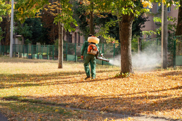 Professional Pest Control in Buxton, NC